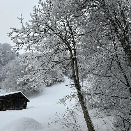 Appartement сhalet Located In An Exclusive Destination Klosters-Serneus
